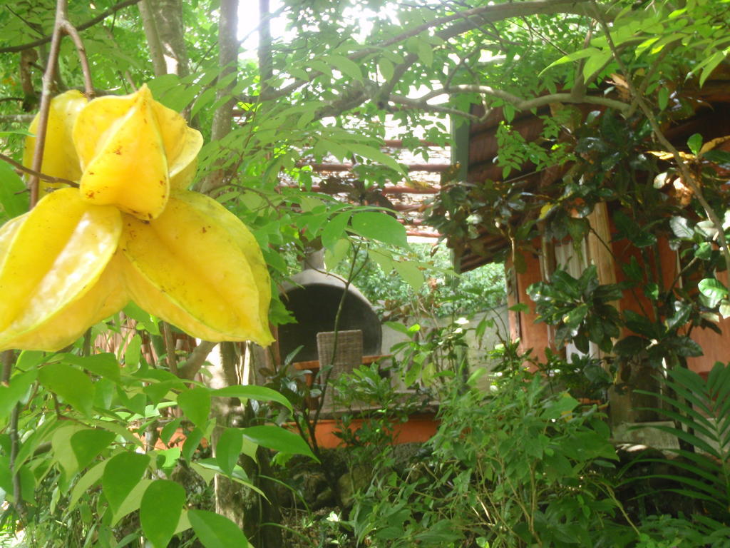 Pachamama Tropical Garden Lodge Malpais Kültér fotó