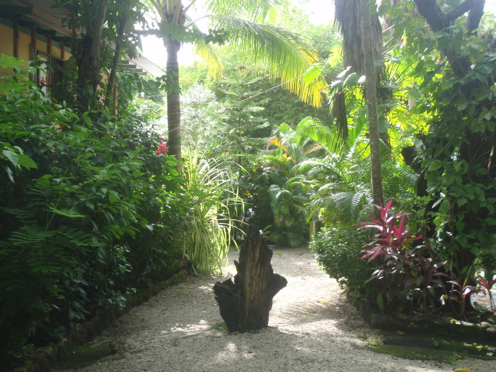 Pachamama Tropical Garden Lodge Malpais Kültér fotó