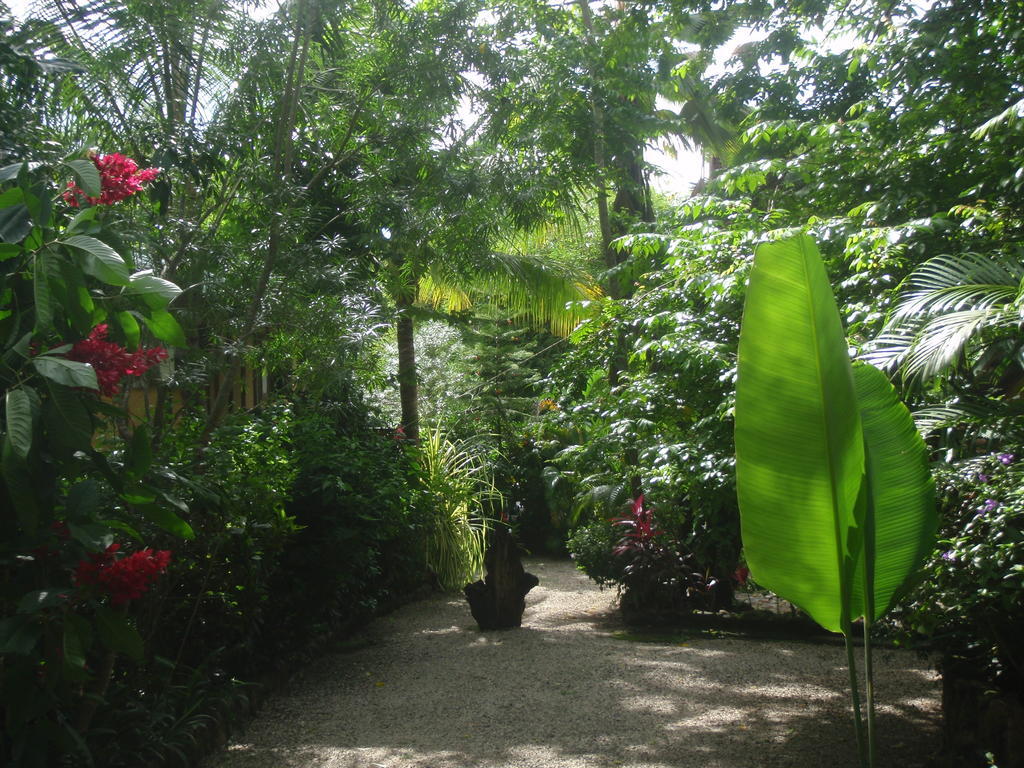 Pachamama Tropical Garden Lodge Malpais Kültér fotó