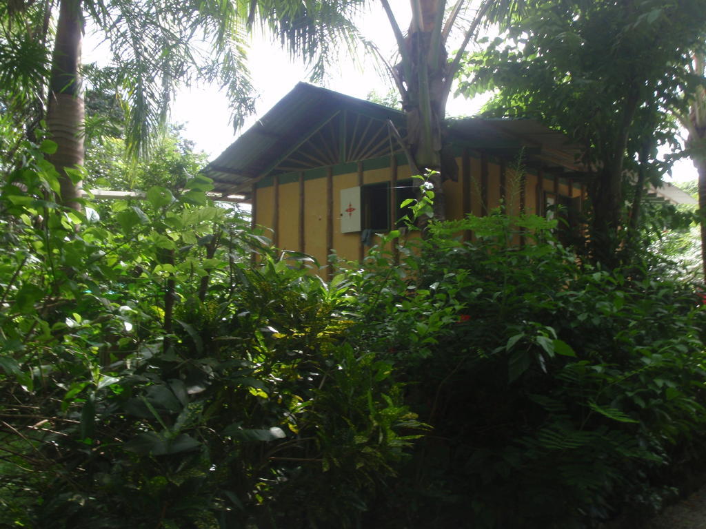 Pachamama Tropical Garden Lodge Malpais Szoba fotó