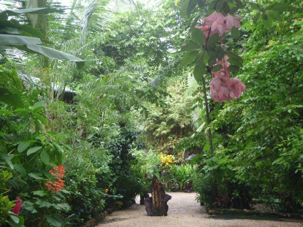 Pachamama Tropical Garden Lodge Malpais Kültér fotó